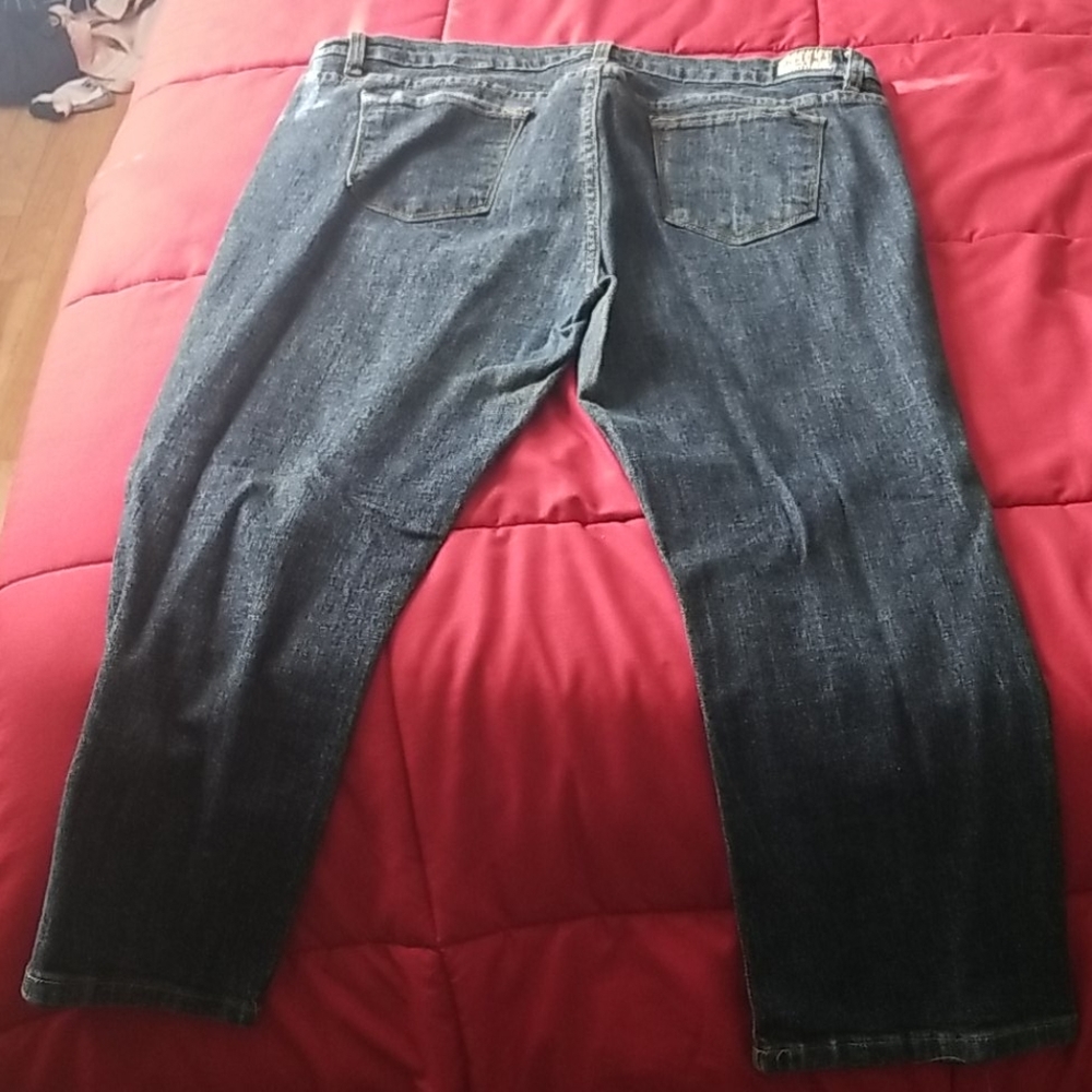 Judy blue plus size stretch capri jeans